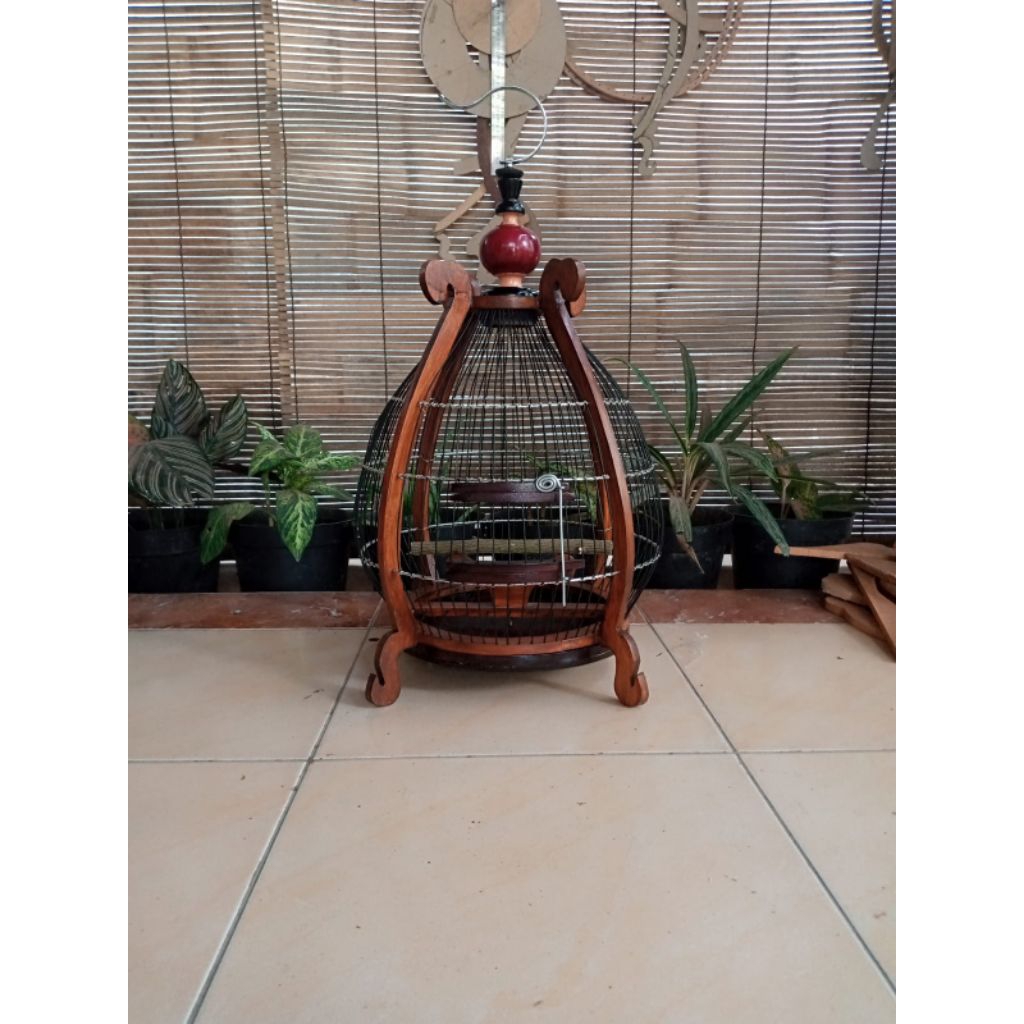 sangkar perkutut jeruji fiber