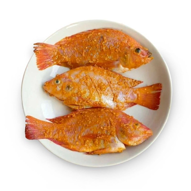 

Ikan Nila Marinasi Bumbu Kuning Ikan Nila Segar Bumbu Kuning Siap Goreng 500 Gram