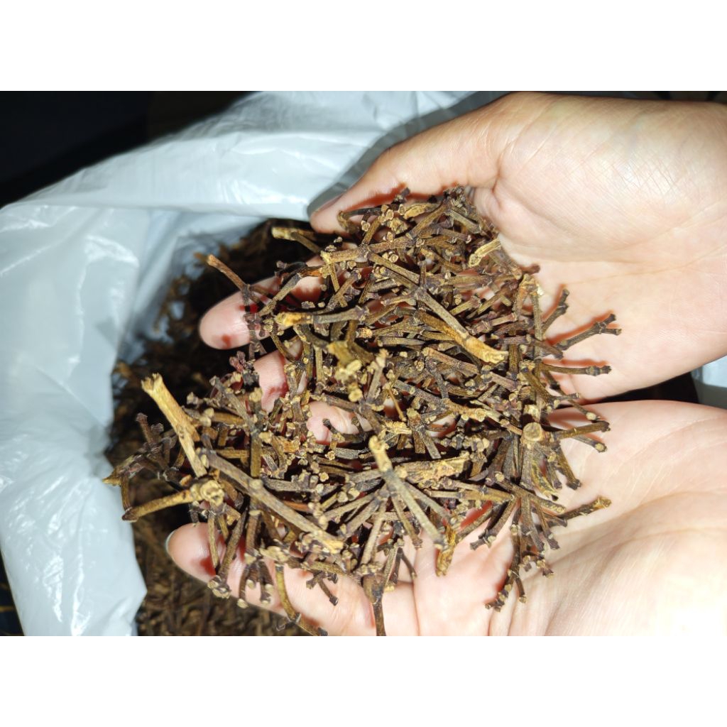 

Gagang Cengkeh kering 1kg