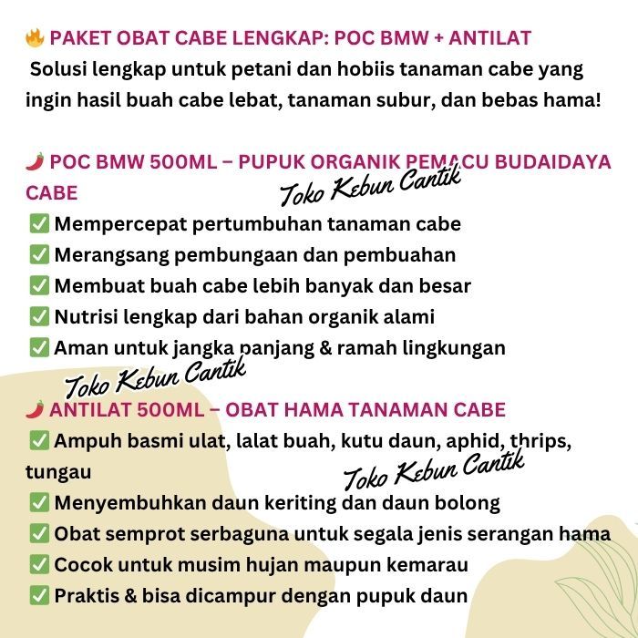 Lintang Gardening Pupuk Organik Cabe Poc Bmw Dan Obat Hama Antilat, Solusi Tanaman Subur Dan Buah