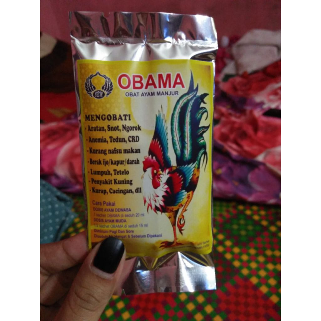 OBAMA Obat Ayam Manjur Ngorok