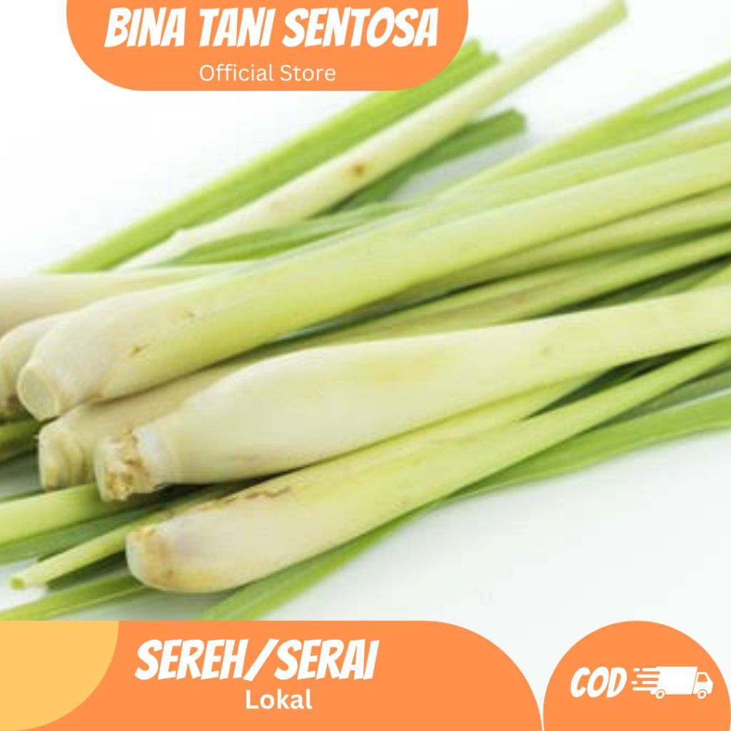 

sereh serai sere Lokal Bangkok 200g 500g 1kg