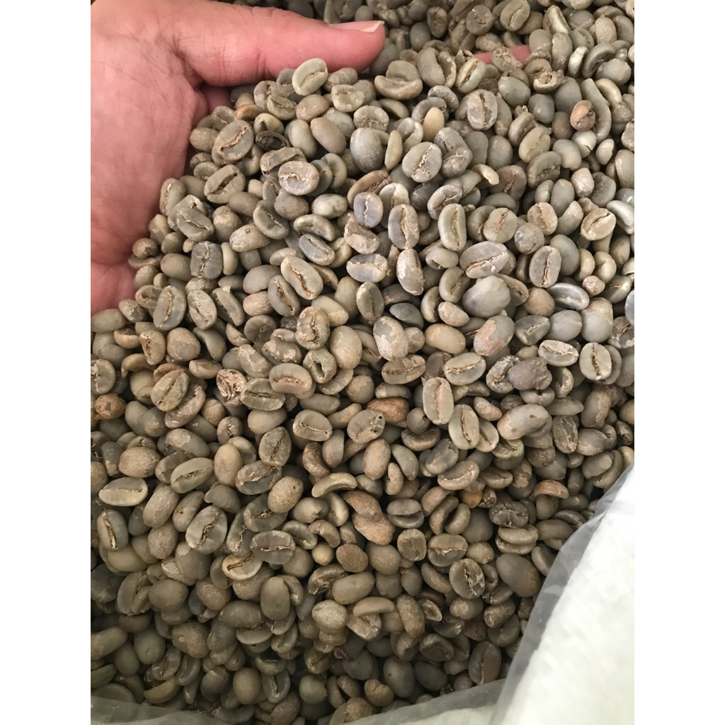 

Green Bean Arabika Gayo FW G1