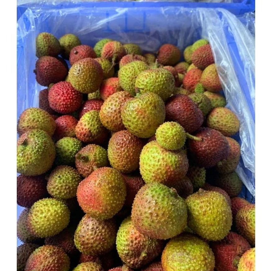 

Leci Madu Buah Segar / Lychee Madu