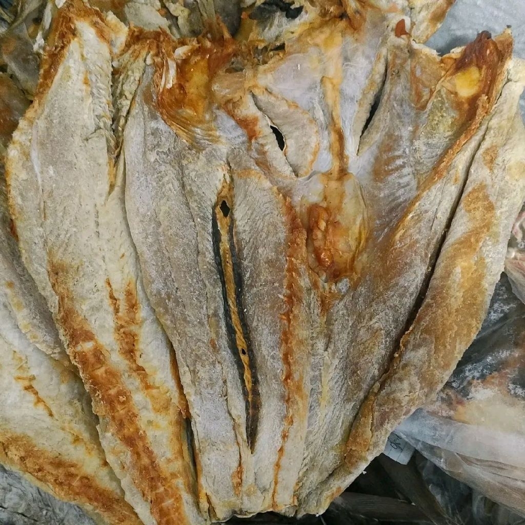 

IKAN ASIN JAMBAL ROTI/ OTEK MAYUNG (EKORAN)