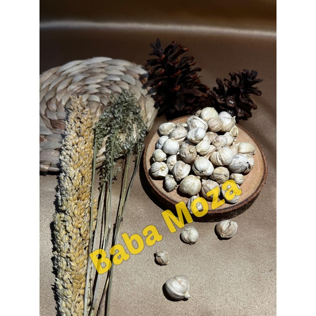 

kapulaga kapol putih bai Dou kou cardamon - 50gram