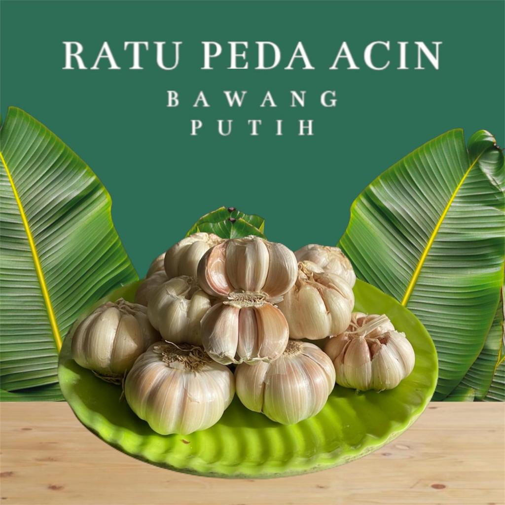 

Bawah Putih Kating 1 Kg Bersih Termurah Kualitas Terbaik Fresh & Higienis - Ratu Peda Acin
