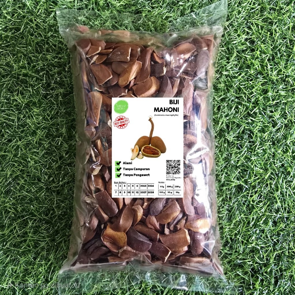 

Biji Mahoni 50 Gram Kering Tua Murni