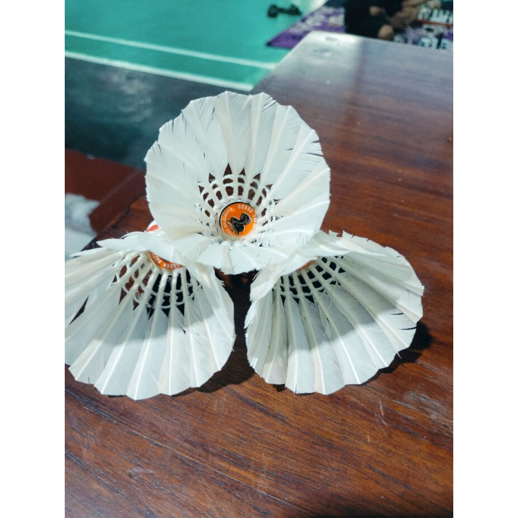 shuttlecock bekas 85% - 90%