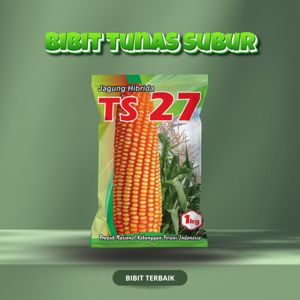 Benih Bibit Jagung Hibrida TS 27 – 1 kg | Biji Bibit Jagung Hibrida TS 27 – 1 kg | Bibit Tunas Subur