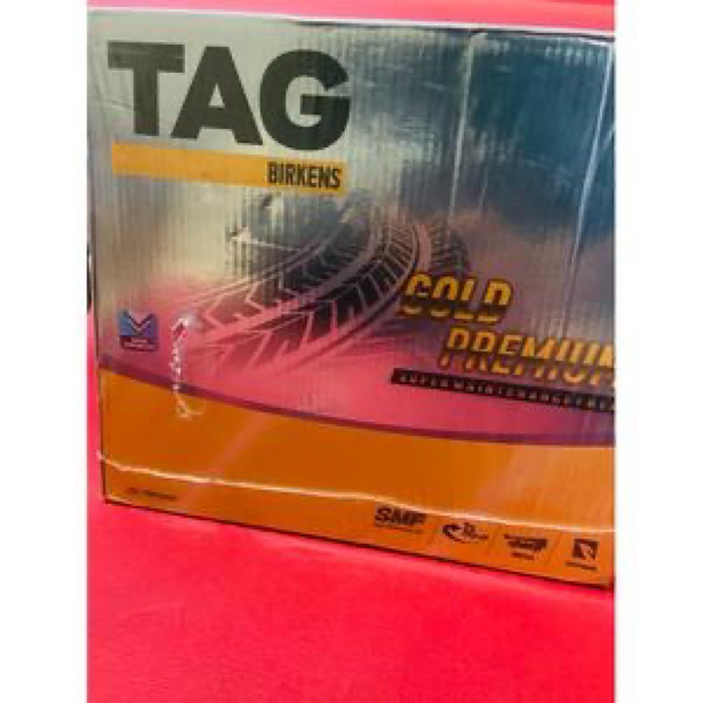 AKI BATTERY BIRKENS NS60