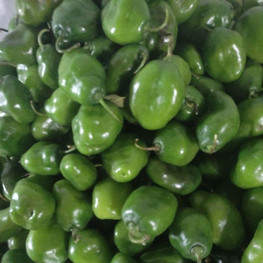 

Cabe bendot super 500gram