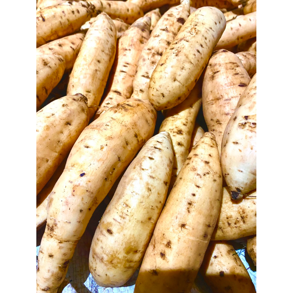 

Ubi madu cilembu asli//1kg-1000g