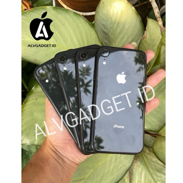 iPhone Xr 128GB 64GB iBox Garansi Resmi Indonesia Digimap GDN