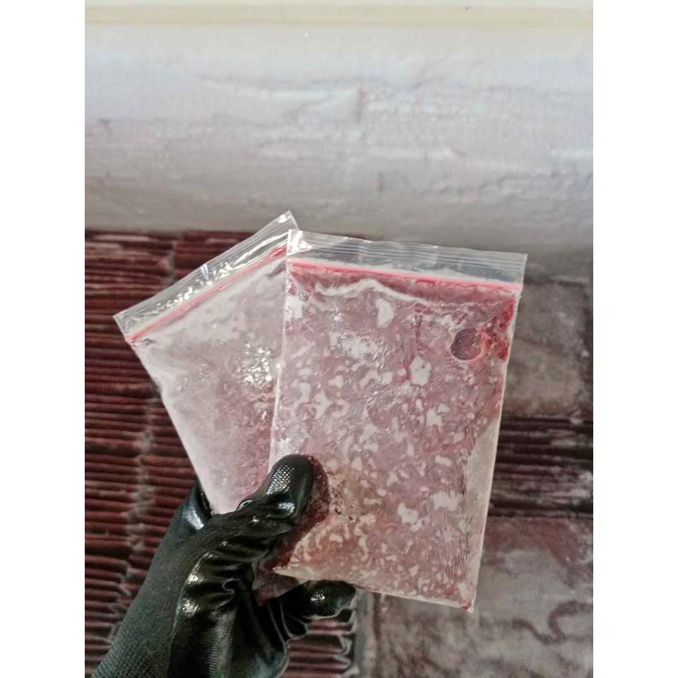 Cacing Beku – Pakan Ikan louhan,discus,guppy,cupang Berkualitas Tinggi