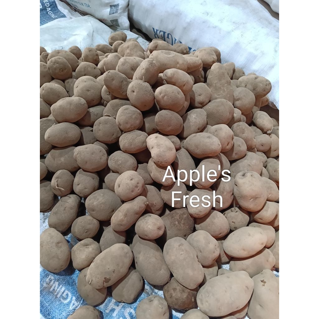

kentang kuning 10-15 dalam 1kg