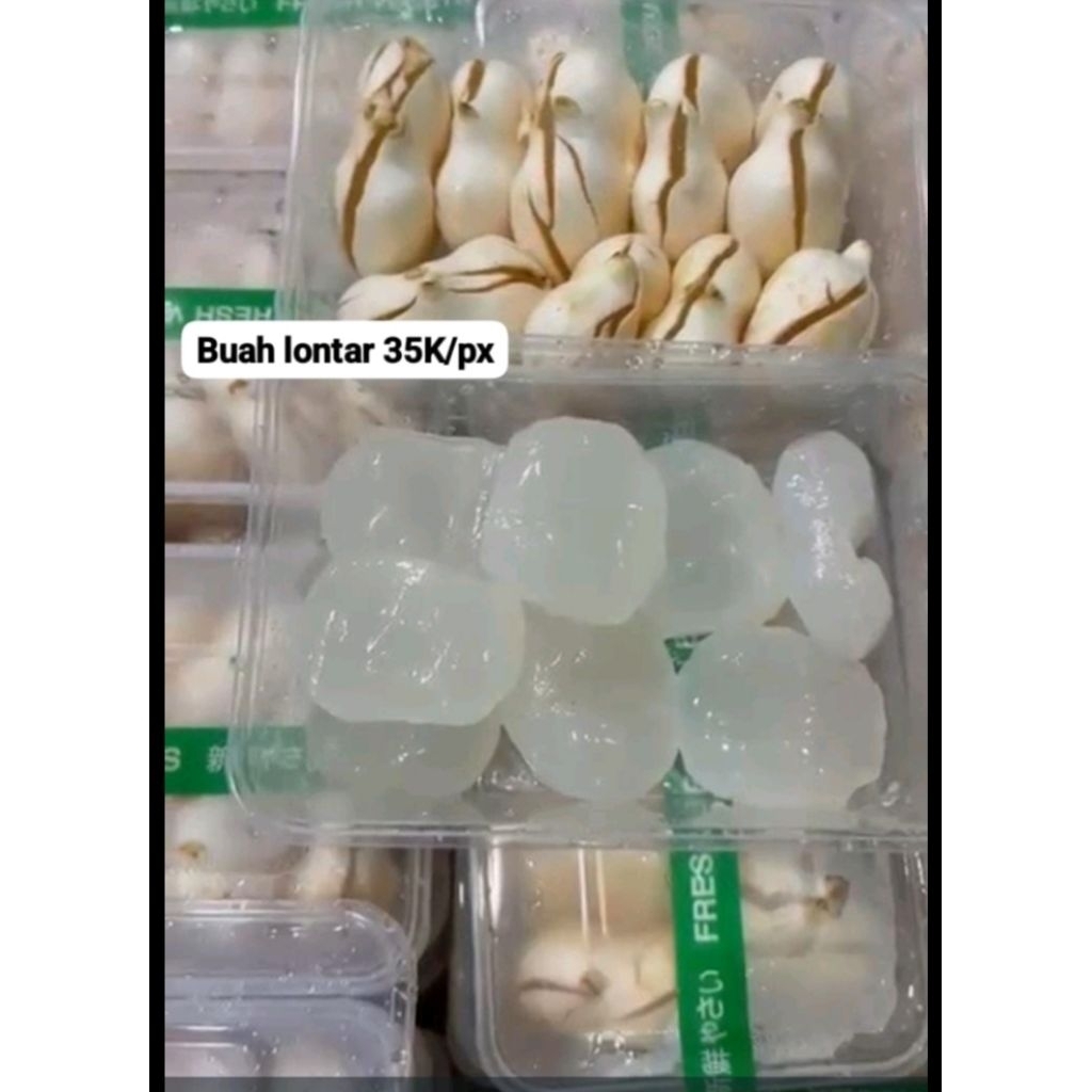

Buah Lontar 1 px isi 9-10