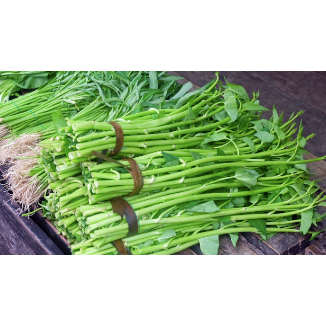 

Kangkung Segar Medan Daily Market