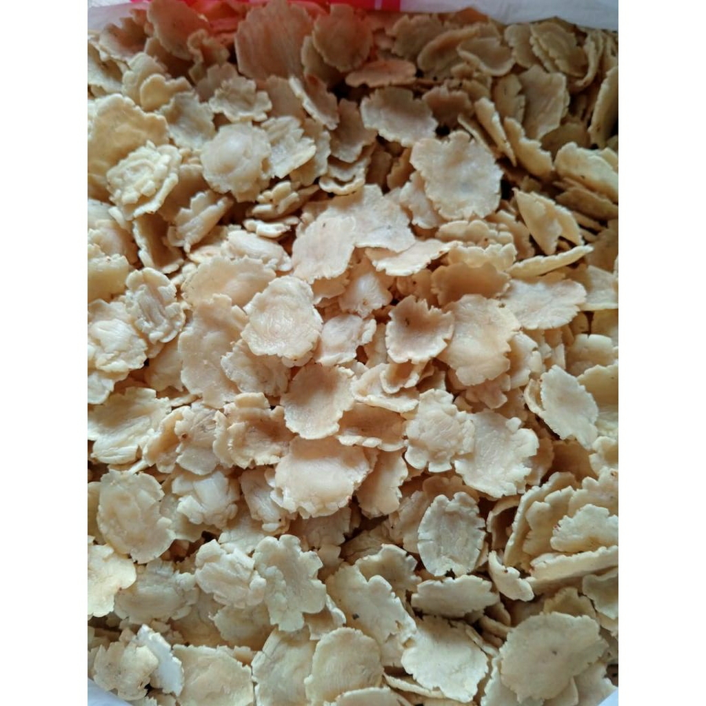 

EMPING GEPUK MENTAH ASLI LIMPUNG