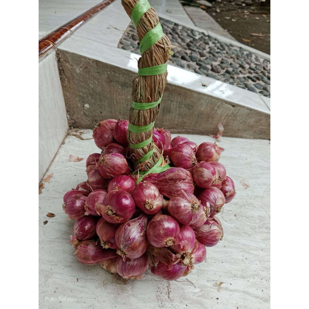 

bawang merah tanggung campur 500gram