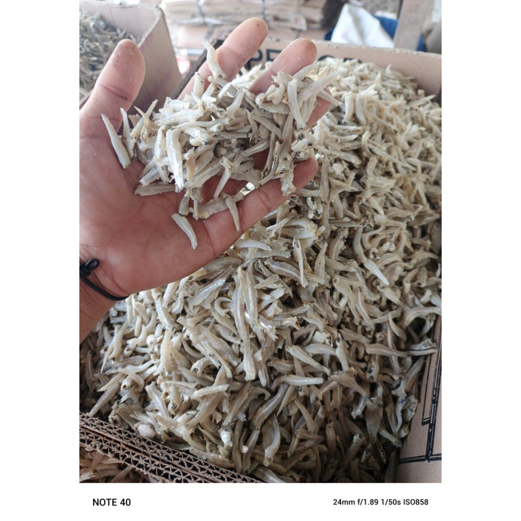 

teri jengki kecil/teri buntio/ikan asin 250,gram