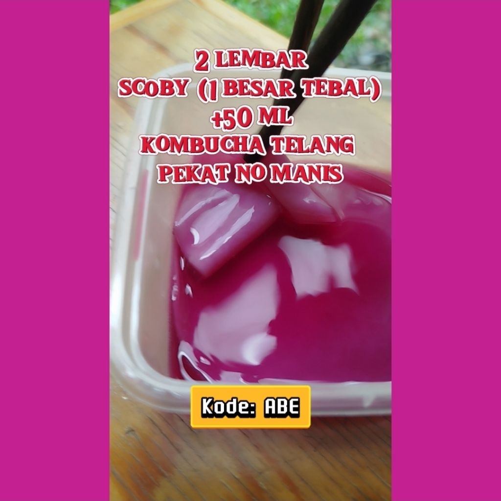 

Kode ABE: 2 Lembar Scoby (1 kecil, 1 besar tebal)+50 Mililiter Kombucha Telang Pekat
