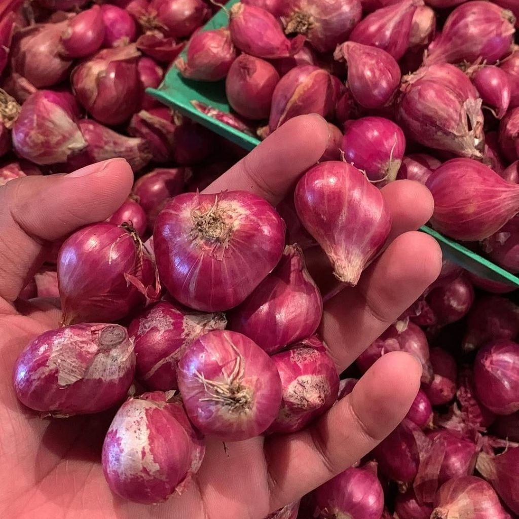 

Bawang Merah 1kg Murah Brebes Bawang Merah Terlaris