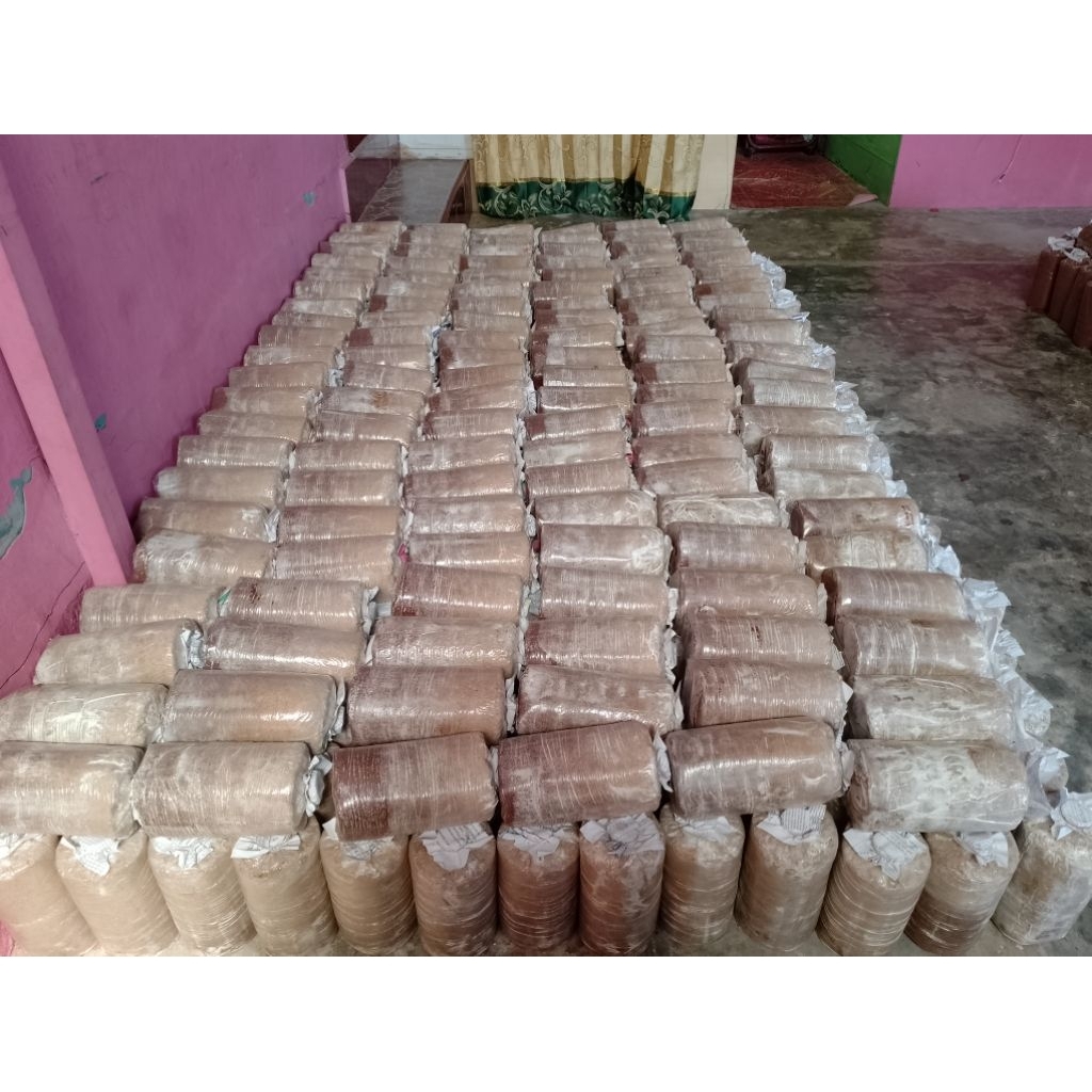 Baglog Jamur Tiram Putih Super