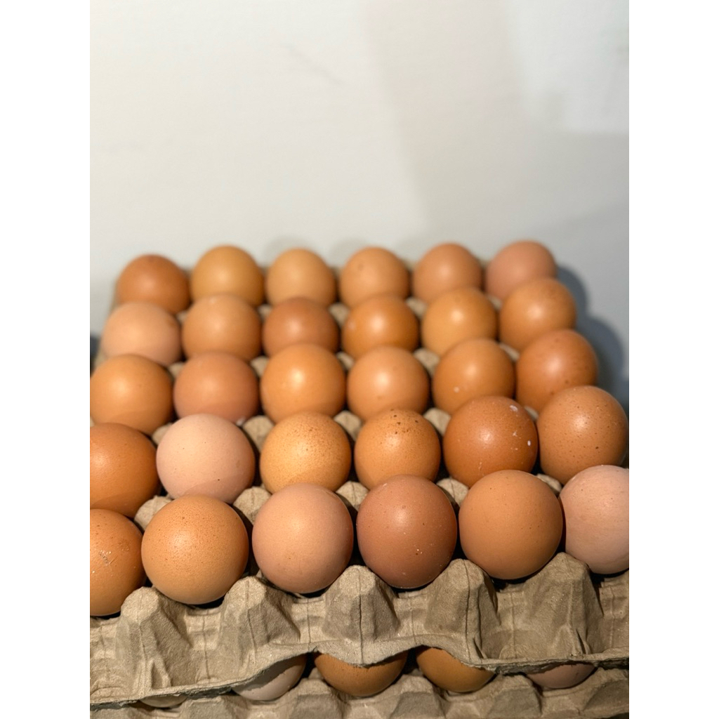 

30 Pcs Telur Ayam Eropa Besar