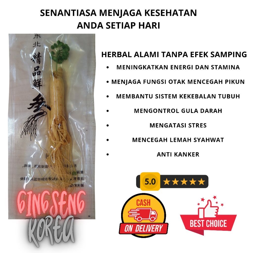 

GINGSENG IMPOR KOREA ASLI 100%