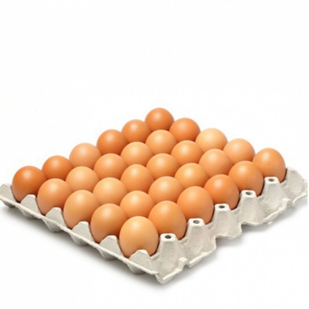 

Telur Ayam Khusus pengiriman instan daerah Banjar