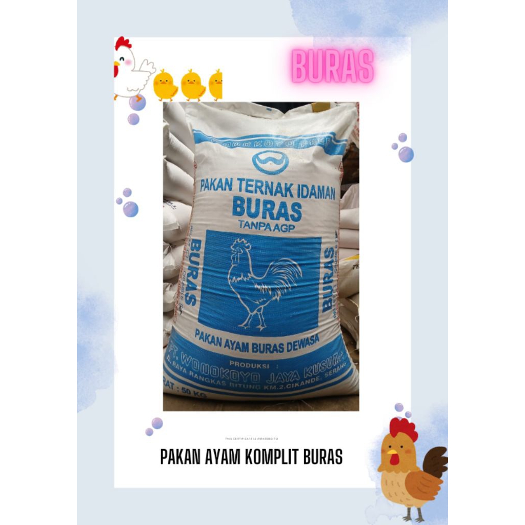 Pakan Ayam Komplit Buras