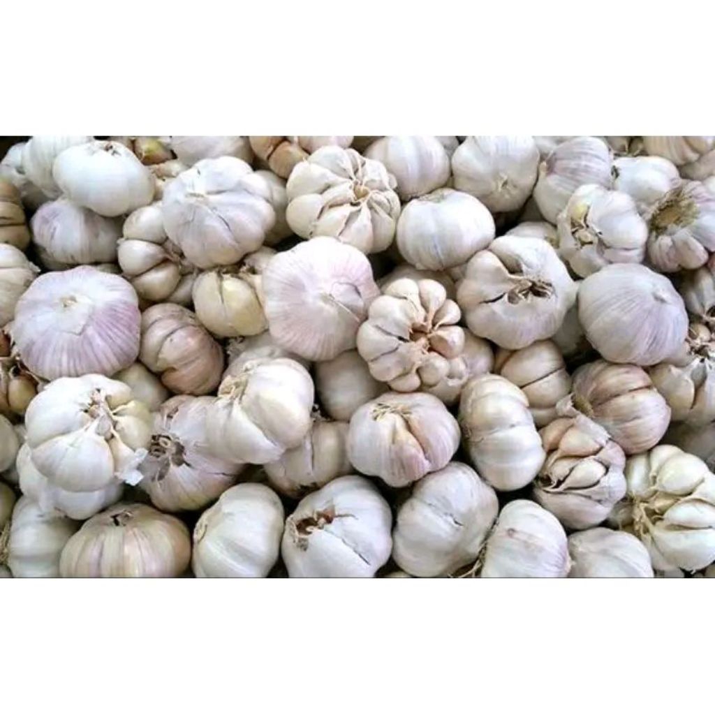 

bawang putih kemasan 250g 500g 1000g