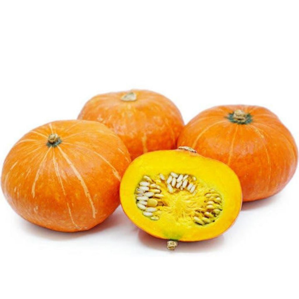 

LABU KABOCA KUNING / HIJAU 800- 1.2kg/pc