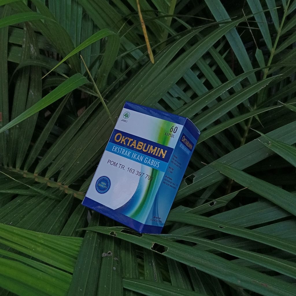 Ekstrak Ikan Gabus Kutuk Albumin Channa Kapsul Oktabumin DIY