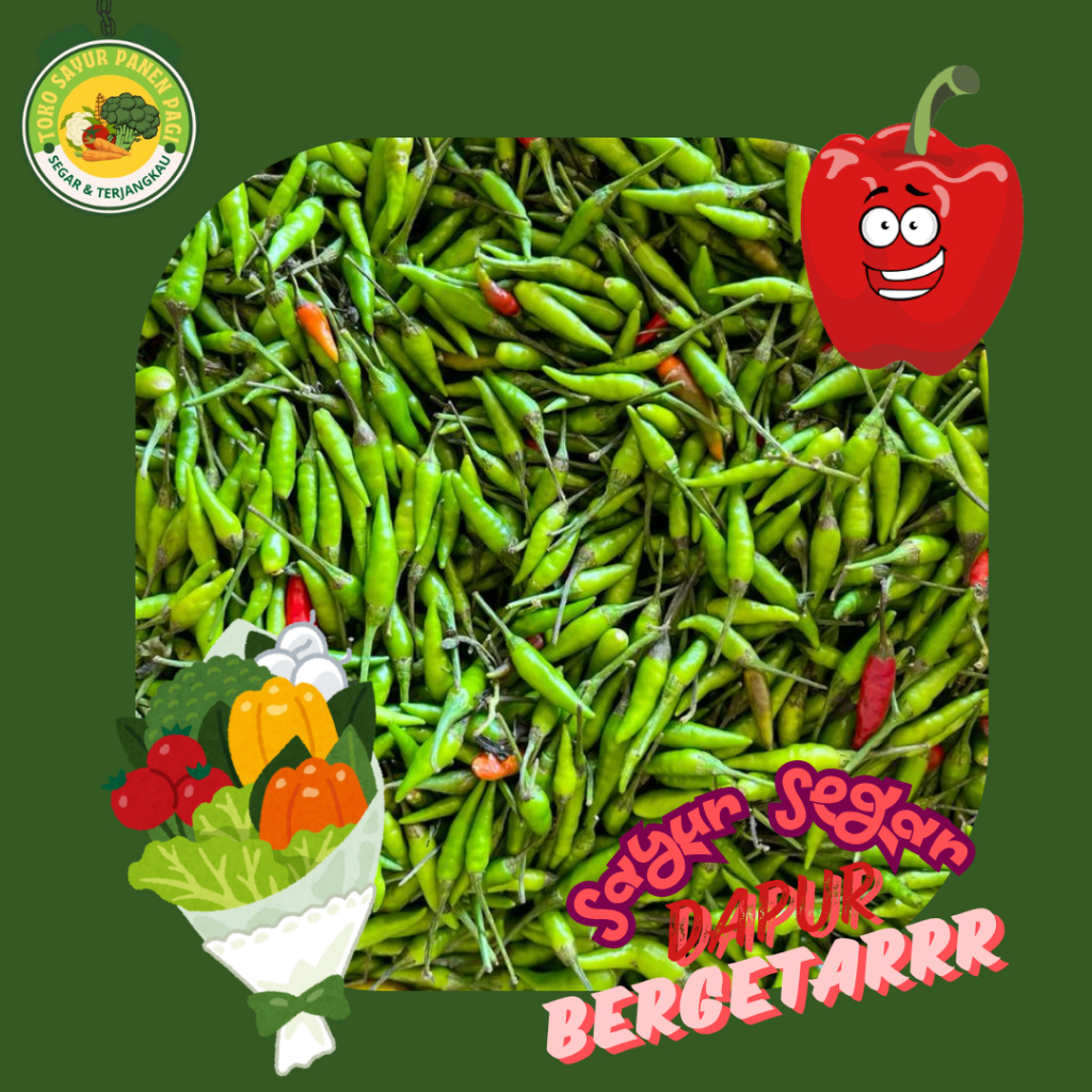 

Cabai Rawit Hijau [ Cabai Segar - Super Pedas ]