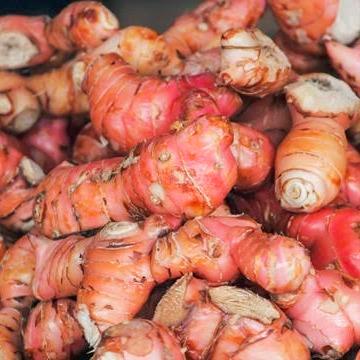 

Lengkuas Bumbu Masakan yang Kaya akan Antioksidan 1 KG