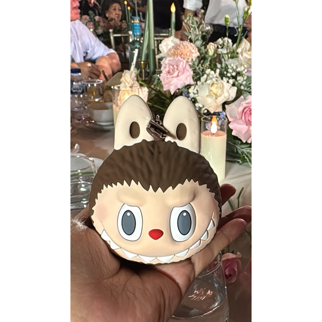 Labubu earphone case original popmart singapore