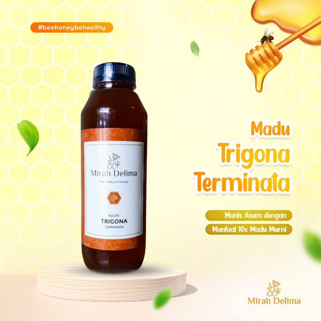 

Madu Klanceng - Trigona Terminata - 500 ml