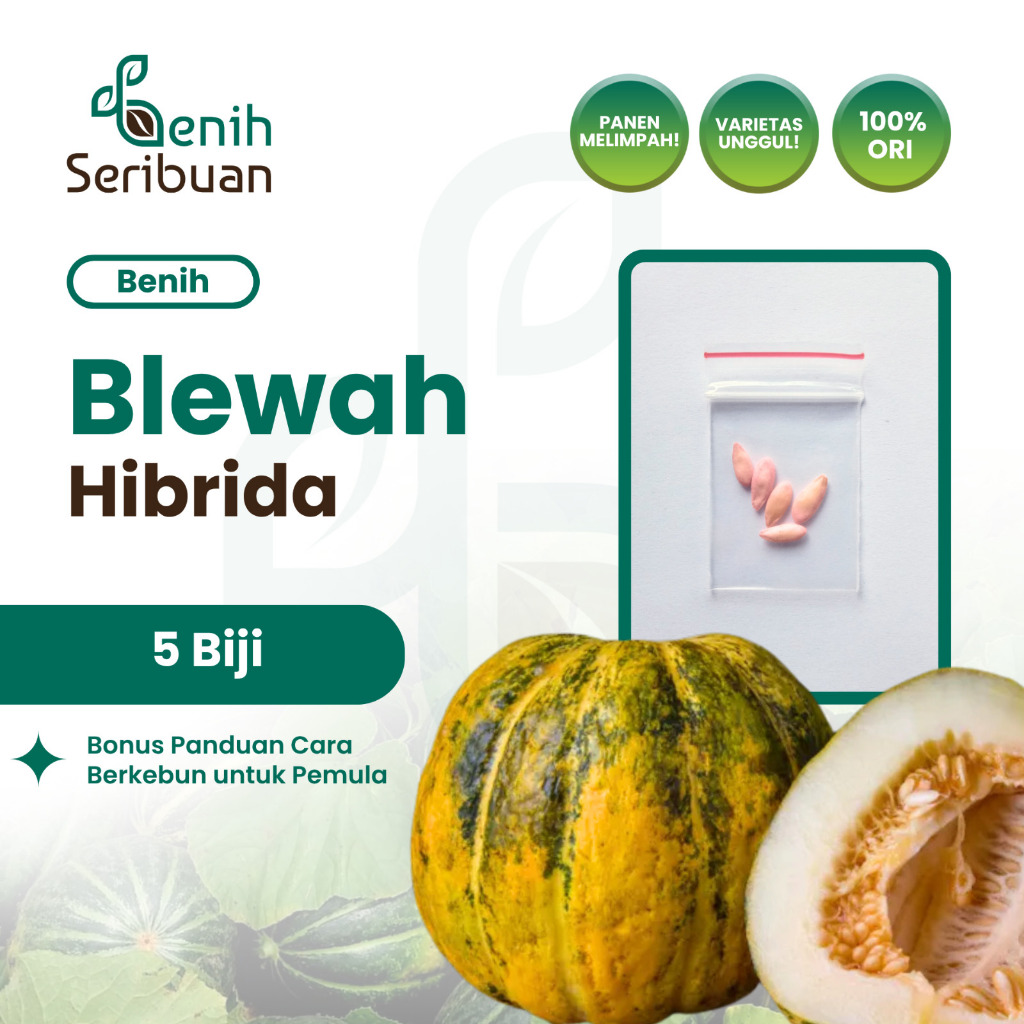 Benih Seribuan - 5 Benih Buah Blewah Hibrida