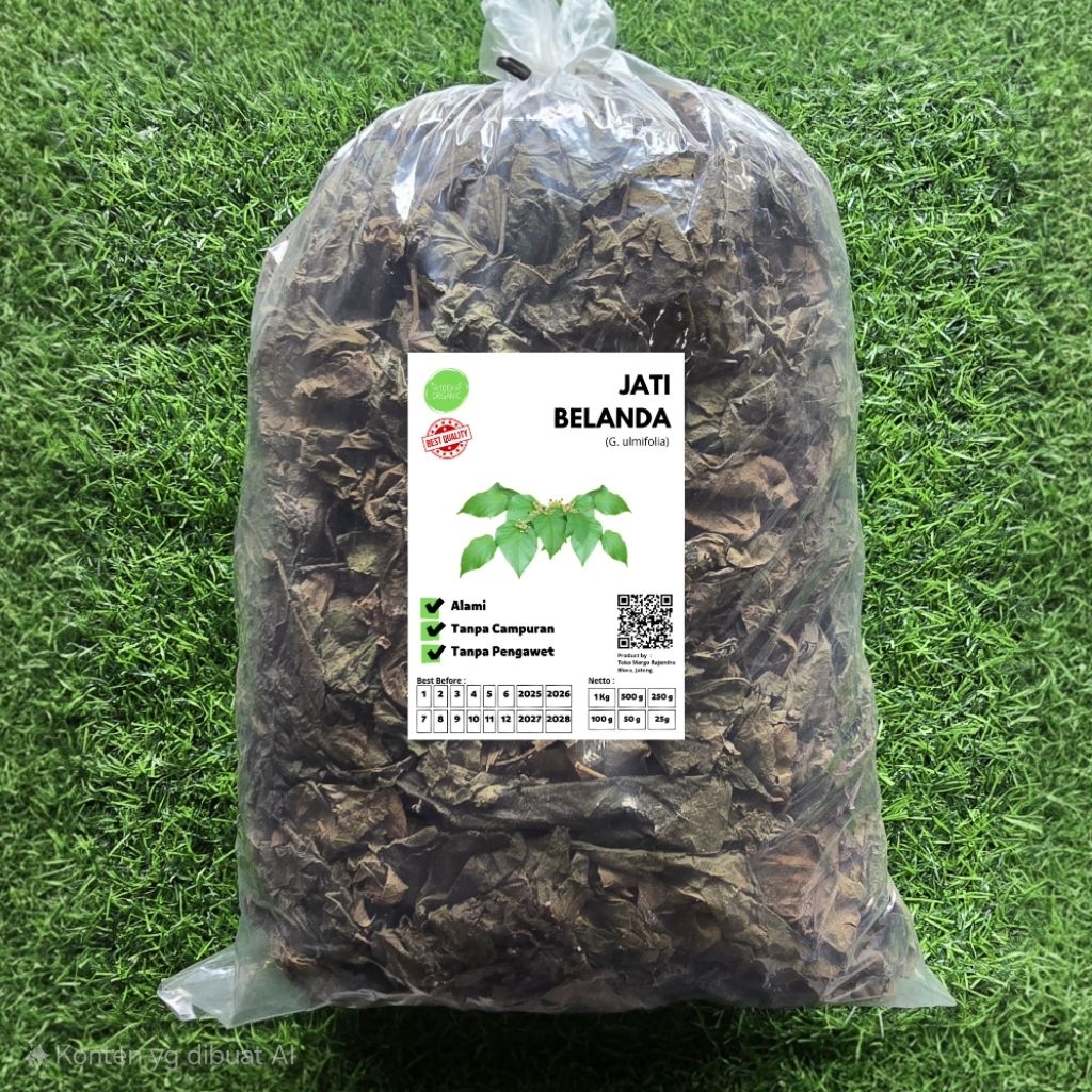 

Daun Jati Belanda Kering 1 Kg Jati Londo