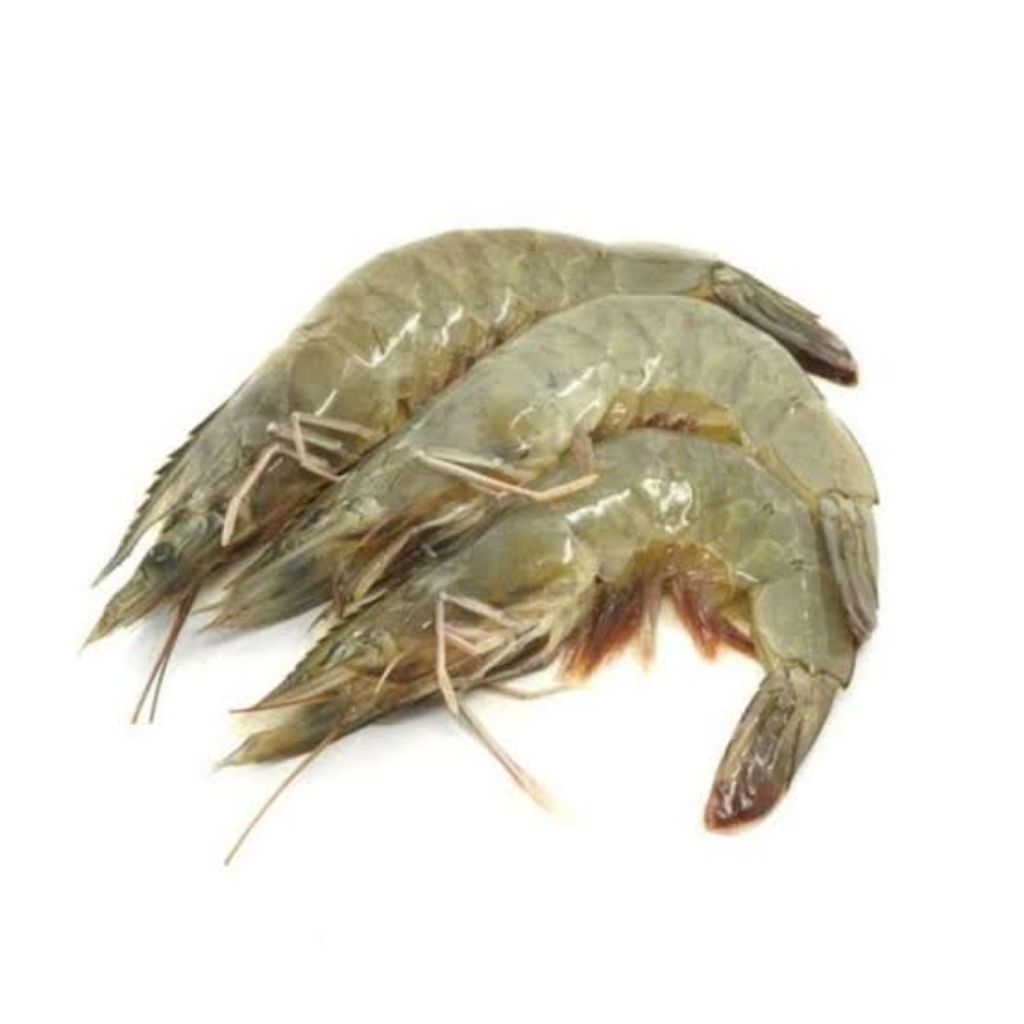 

Udang Frozen 500 - 1000 Gram,SayurBuah Ku-Lampung