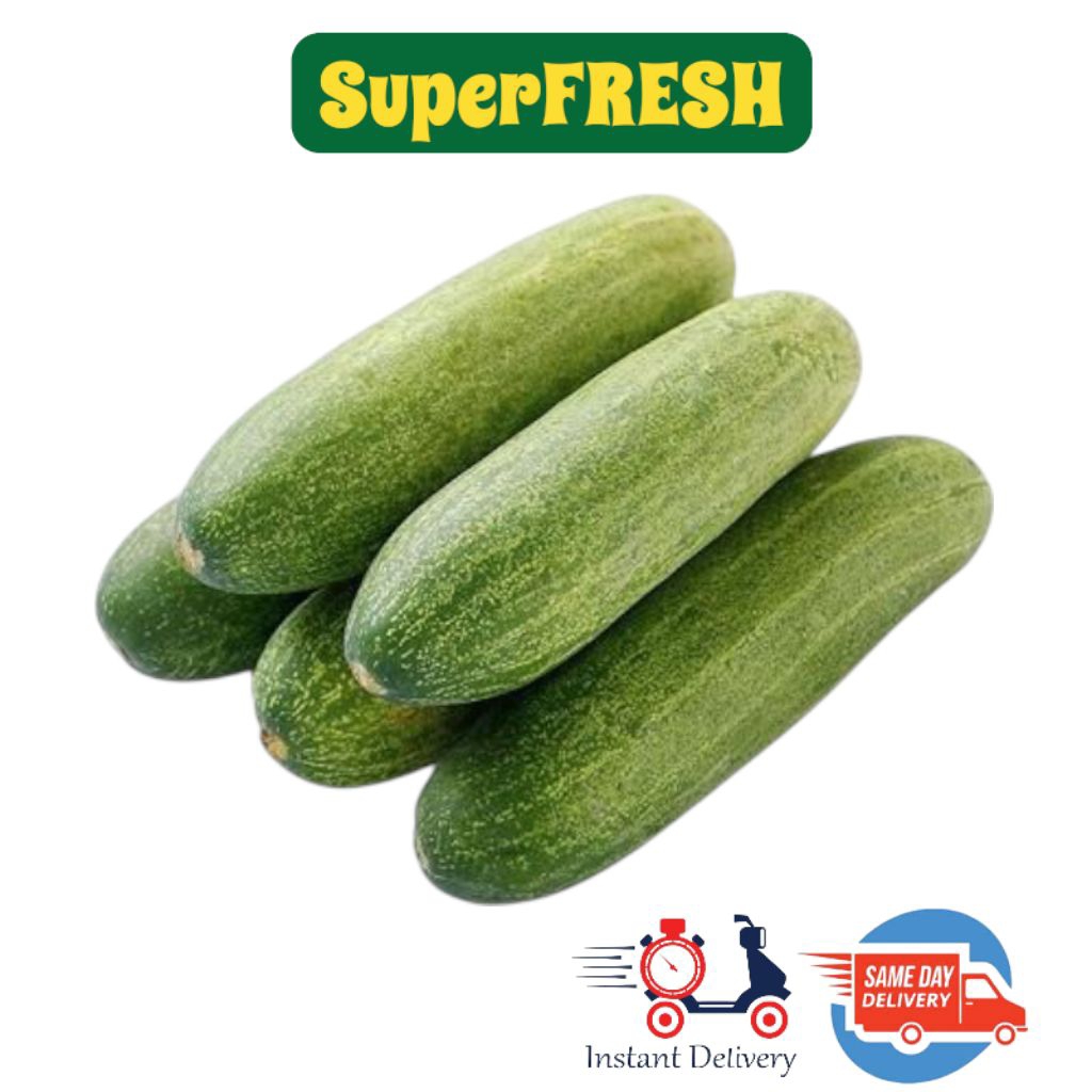 

Timun Berkualitas Pilihan