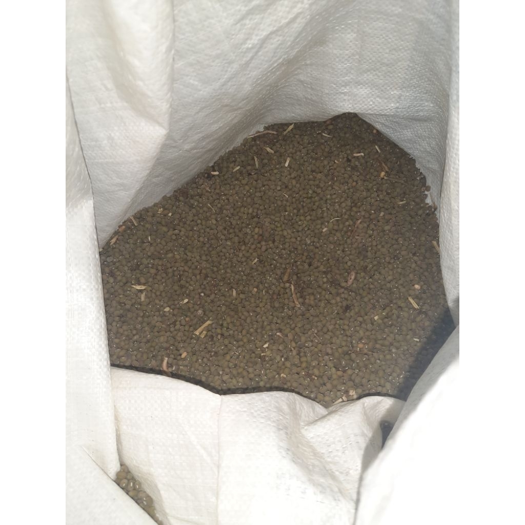 

BENIH KACANG HIJAU SUPERR SIAP TANAM MURAHHH 1 KG