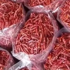 

Cabe kering/japlak 100 gram