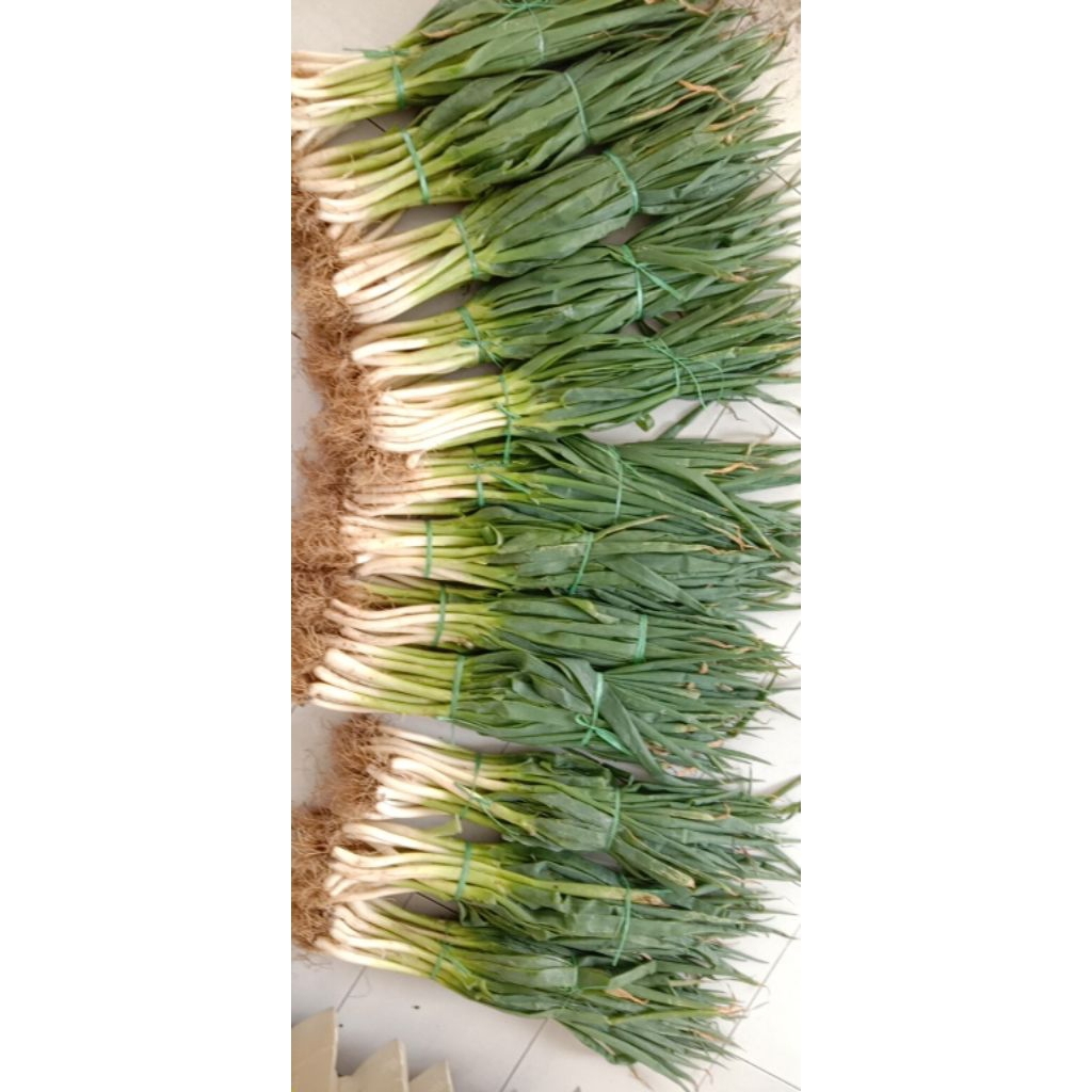 

Daun bawang / Daun prei 500 gram