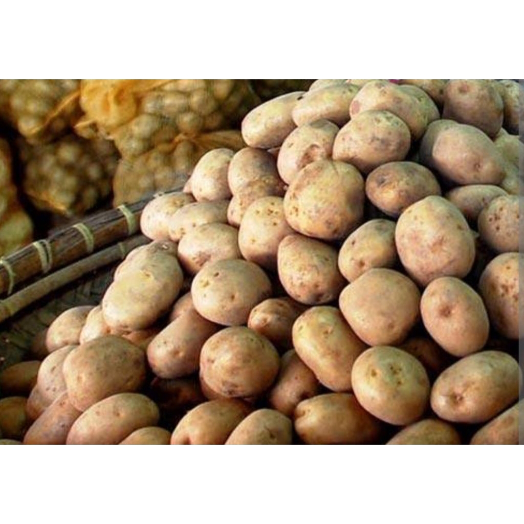 

KENTANG LOKAL GRANOLA UKURAN AB 1 kg s/d 5 kg