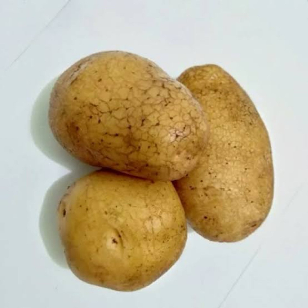 

Kentang fresh 500gram -varietas granola