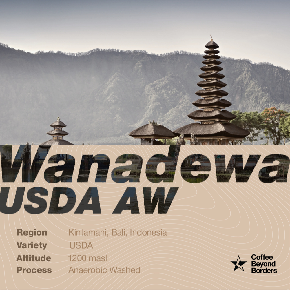 

Arabica Green Beans - Wanadewa USDA Anaerobic Washed