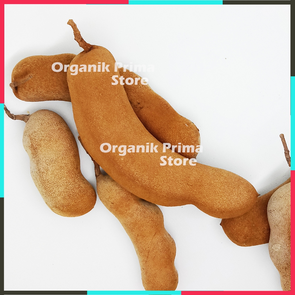 

Asem Jawa Kulit Segar 1kg Asli Asam Jawa Gunung